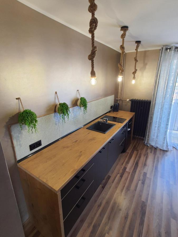 Apartament Apartament Nad Fontanną Malbork Zewnętrze zdjęcie