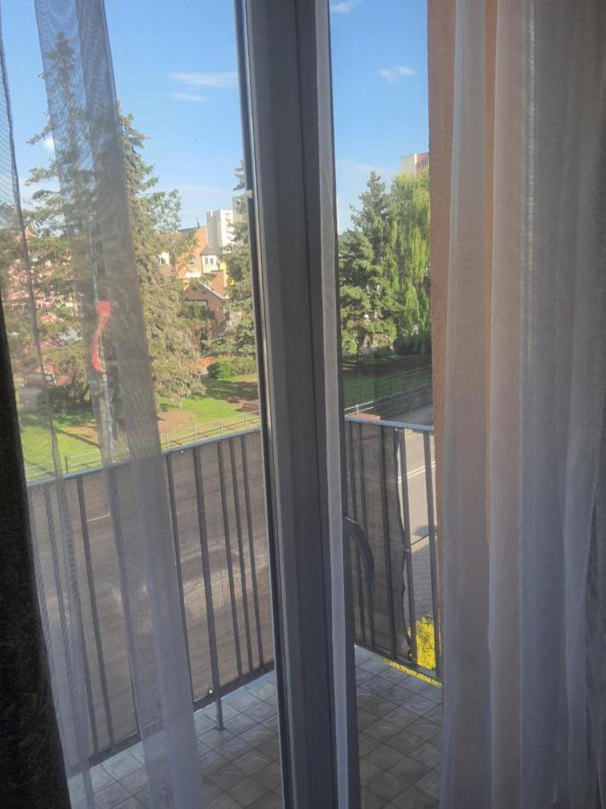 Apartament Apartament Nad Fontanną Malbork Zewnętrze zdjęcie