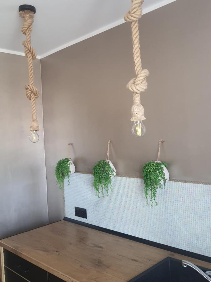 Apartament Apartament Nad Fontanną Malbork Zewnętrze zdjęcie
